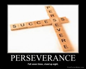 blog perseverance