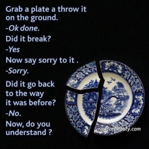 break the plate