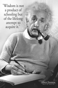 blog Einstein wisdom