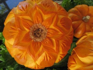  pumpkin flower