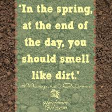 blog spring and dirt