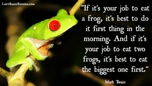 a frog twain