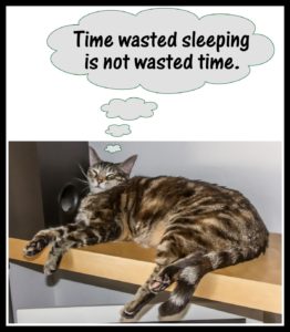 wasted time sleeping