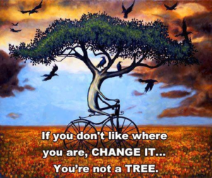 you're not a tree