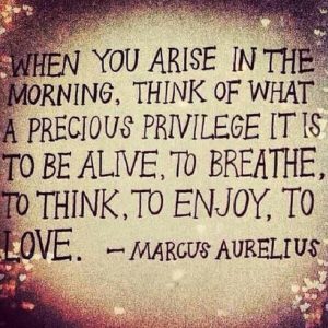 -marcus aurelius