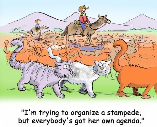 http://www.wisdomenough.com/wp-content/uploads/2020/07/herding-cats-cartoon1.jpg