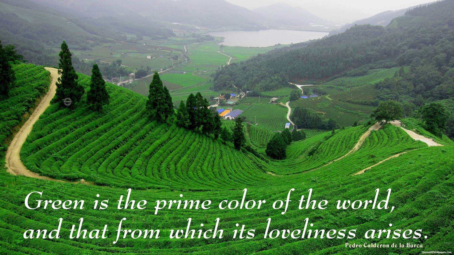 164 Green Quotes About The Color Of Nature & More